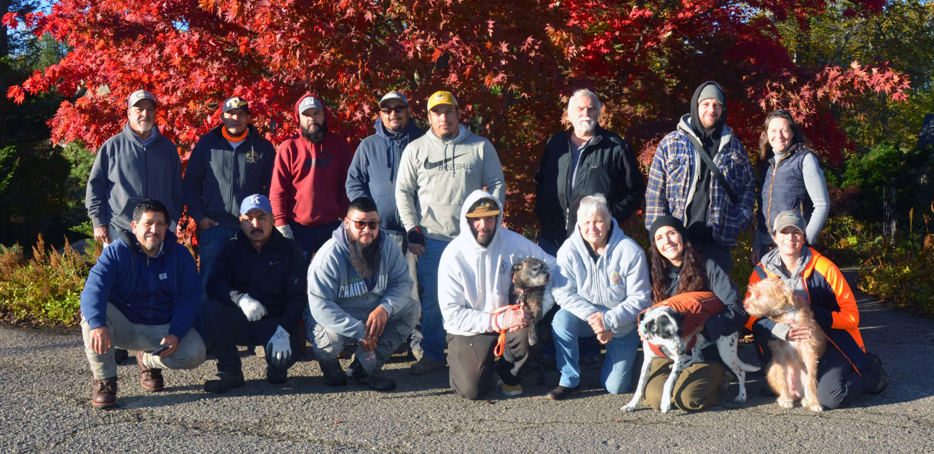 Landscape Creations Nursery 2025 Company Photo