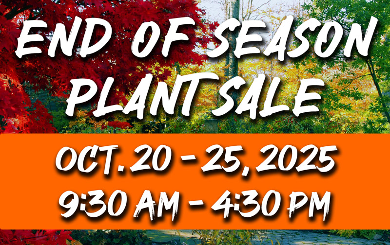 End of Season Plant Sale Landscape Creations Nursery