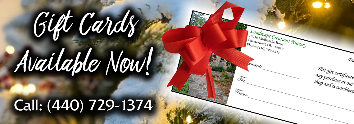 Christmas Gift Cards Landscape Creations Nursery