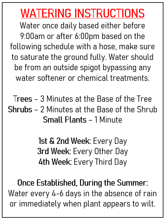 plant watering instructions how to