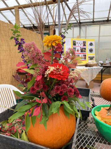 Fall Floral Class