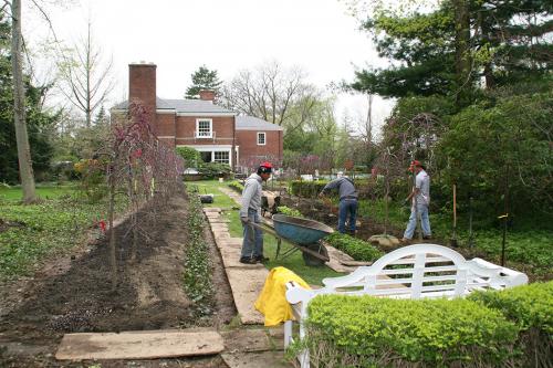 Tree Row Planting In Progress